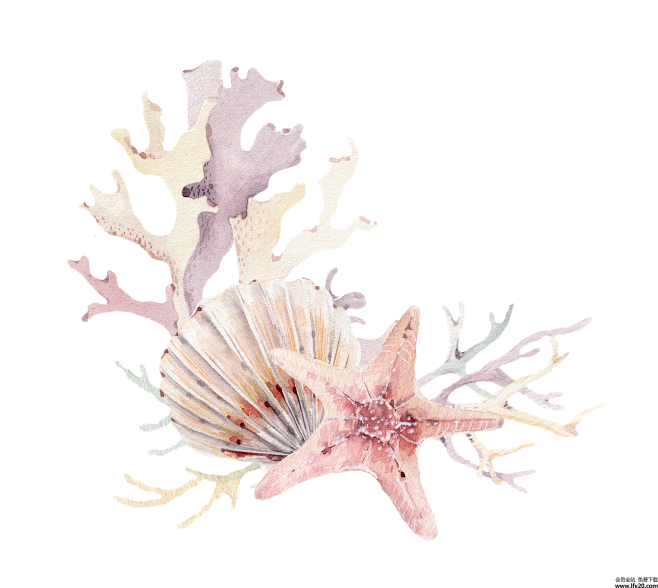 海底世界珊瑚海藻海草