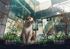 动漫漫画场景海报壁纸  - 源文件下载【酷图网】漫画,动画,插画,卡通,手绘,人物,美女,游戏,原画,漫画人物,手绘人物,游戏原画,摄影照片,设计,动漫动画,动漫图片,壁纸,风景,动漫人物,动漫美少女,二次元,图包,手机壁纸,电脑壁纸,图库,动漫,