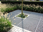Koen Robberecht Tuinrealisaties