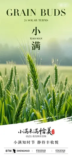 24节气小满节日节庆朋友圈营销宣传海报模板PSD设计素材(125)