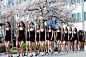 组图：韩大学生樱花树下走秀 长腿姣好身材吸睛 : 韩国大田市大德大学校园里，模特专业学生迎着和煦的春光在樱花大道上进行室外练习。