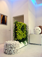 便携式植物墙 室内移动植物屏风