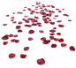  花瓣