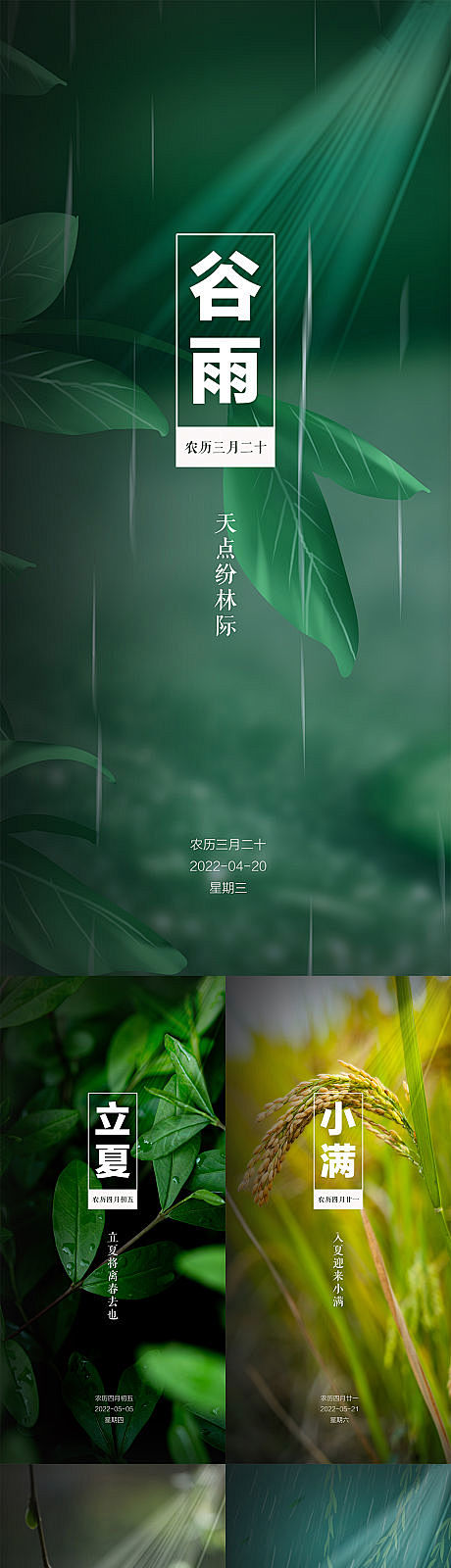 谷雨节气海报-源文件