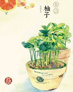 W_li采集到植物笔记