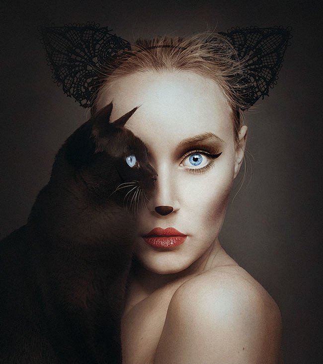 “动物的眼睛”主题概念艺术摄影作品