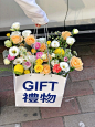 见花则囍