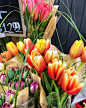 Photo by Kelly Nicol in New Tecumseth. May be an image of flower.