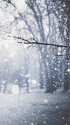 双面ι采集到雪：背景，壁纸，风景
