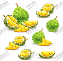 美味切开的榴莲矢量素材 【酷图网】水彩,彩绘,矢量,榴莲,卡通,美味,新鲜,水果,果子,手绘水果,彩绘水果,切开的水果,水果矢量图,水果矢量素材,水彩水果素材,彩绘水果素材,水果彩绘,插画,水果插画