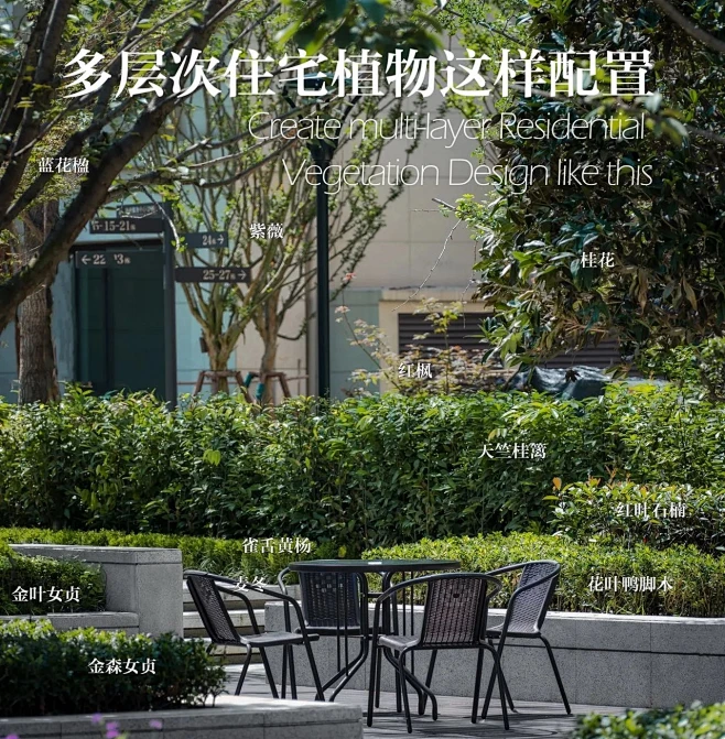 植物配置实景 (17)图片_植物配置图片素材-花瓣网