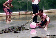 独孤的嘤嘤嘤采集到GIF