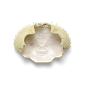 超高清 海星 海螺 贝壳 珊瑚 海马等 航洋生物主题 png元素 crab-1