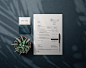 Bleu la Soie - Brand Identity
