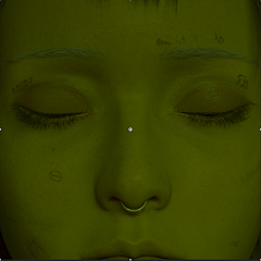 游飞ew采集到3D