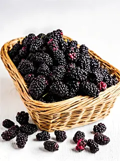 水果桑葚高清图片素材