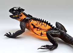 Tsuki105采集到奇异生物