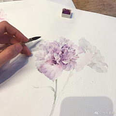 Crystral采集到水彩植物
