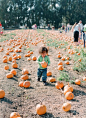 Bambinos :: Bambinos :: Elizabeth Messina Photography