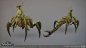 cody-harder-codyharder-dragonflight-mantis