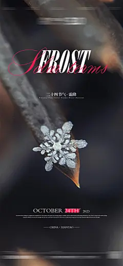 霜降节日节气唯美简约大气插画海报