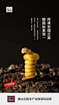 微信图片_20231204171929