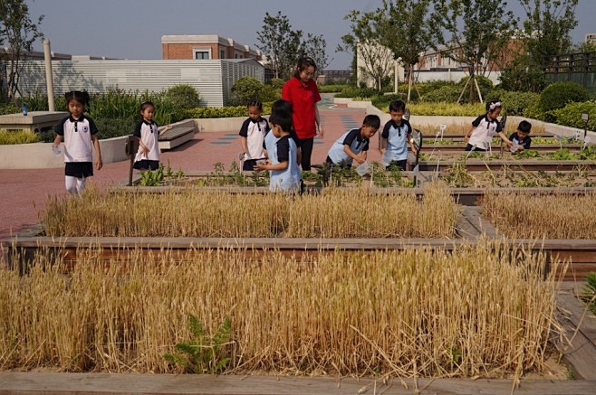 一八学校幼儿园，郑州 / 翰祥景观 : ...
