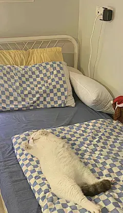 2022热门很哇塞的壁纸全面屏 最新很火爆的热门壁纸-腾牛个性网