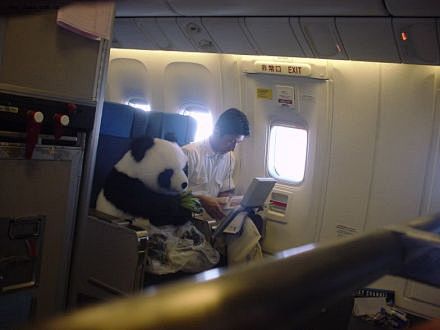 这货真的是熊猫，是中国赴日友好使者，安全...