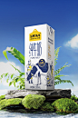 认养一头牛纯牛奶