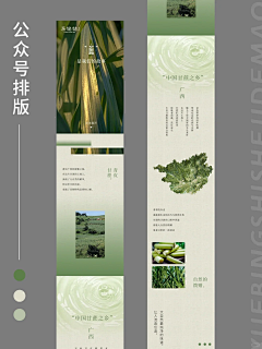 雅丫丫头采集到详情页