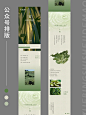 公众号推文设计｜新品上市 - 小红书