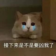 淘气！撒娇表情包大放送！
