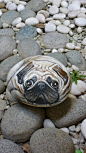 Cute pug painted on a rock.