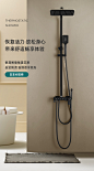 新款特价恒温淋浴花洒套装家用全铜黑色浴室挂墙式混水阀淋雨喷头-淘宝网