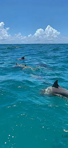 风景壁纸 - 高清图片，堆糖，美图壁纸兴趣社区