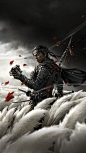 #ghostoftsushima #samurai #japan #japanese #wallpaper
