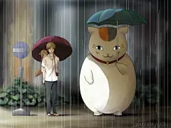 猫老师！！