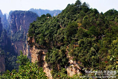 Zhaotongyuanyuan采集到张家界：放大的盆景，