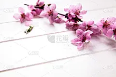 白木背景上的桃花。水果鲜花。