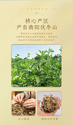 心如止水Water采集到素材-植物/花/树叶