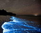 Bioluminescent Phytoplankton, Vaadhoo Is... - 白_Bai.com