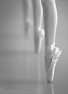 丹麦的冰__刘琳采集到芭蕾