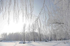 微奇生活采集到雪景