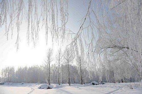 唯美图片：冬日雪景 (15)