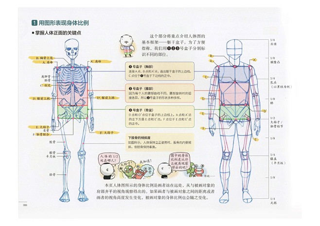 RockHe Kim s Anatomy...