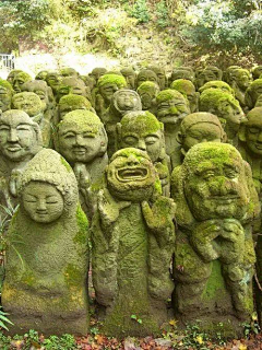 火锅香菜采集到小说