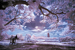 efthk采集到场景