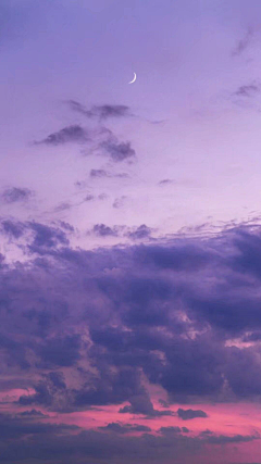 月池x采集到紫