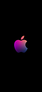 151950-iphone_12-iphone_12_pro-iphone_12_pro_max-iphone_12_mini-apple_event_november_2020-500x